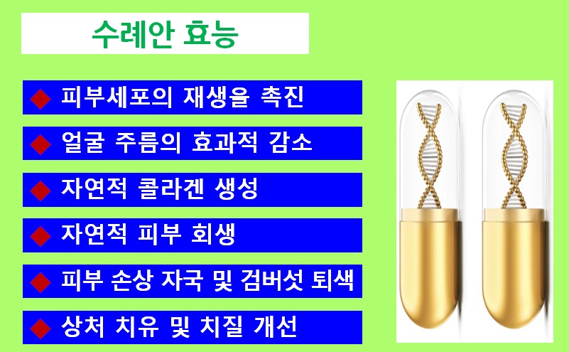 텔로유스,엘에이 텔로유스,한국 텔로유스,텔로메가,teloyouth,telomega,텔로메가 텔로유스,텔로유스 가격,텔로유스 체험사례,텔로유스 줄기세포, 34.jpg