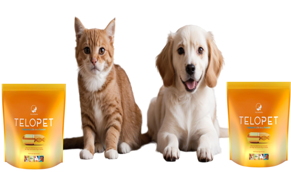 텔로펫,텔로유스 반려동물 영양제,텔로펫 영양제,텔로펫 강아지 영양제,텔로펫 고양이 영양제,텔로펫 반려동물 영양제,미국 텔로펫,한국 텔로펫,025.png