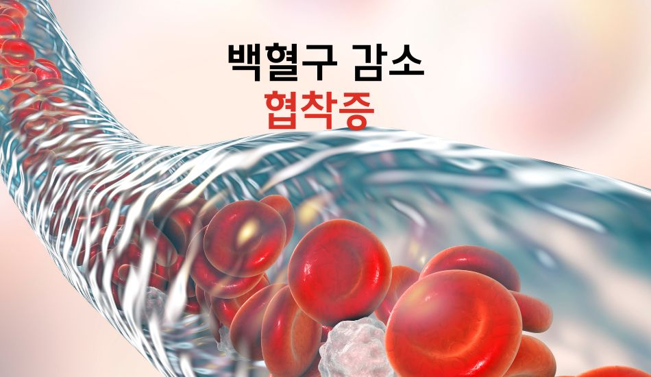 텔로유스,텔로유스 한국,텔로메가,텔로유스 파우더,텔로유스 서울,텔로유스 백혈구감소,텔로유스 협착증,텔로유스 성분,텔로유스 판매,텔로유스 체험,텔로유스 효능,텔로유스 주성분, 텔로유스 가격, 텔로유스 복용,텔로유스 줄기세포,15.jpg