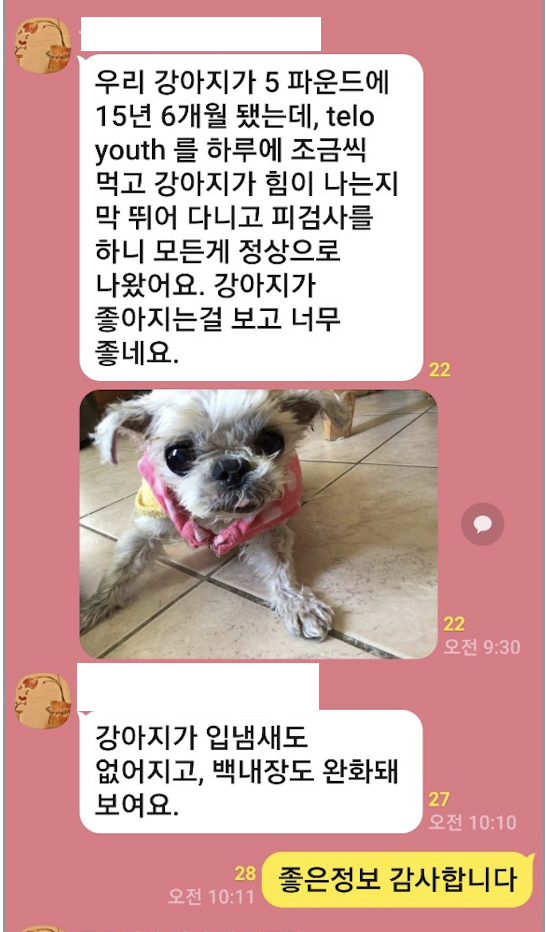 텔로펫,텔로펫 체험사례,텔로유스 반려동물 영양제,텔로펫 영양제,텔로펫 강아지 영양제,텔로펫 고양이 영양제,텔로펫 반려동물 영양제,미국 텔로펫,한국 텔로펫,07.png
